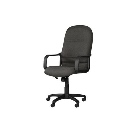 Silla Ejecutiva con Brazos Tamayo 4001 Tela Mini Grafito