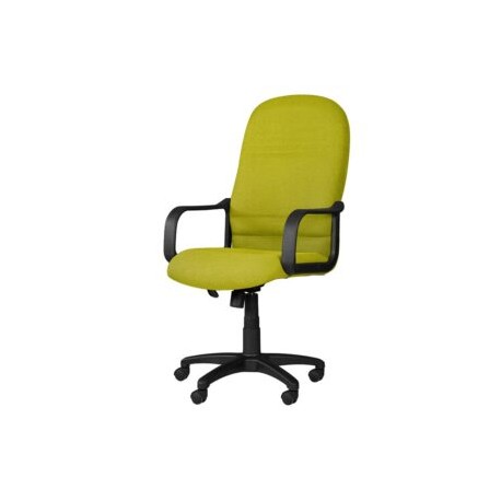 Silla Ejecutiva con Brazos Tamayo 4001 Tela Mini Verde Manzano