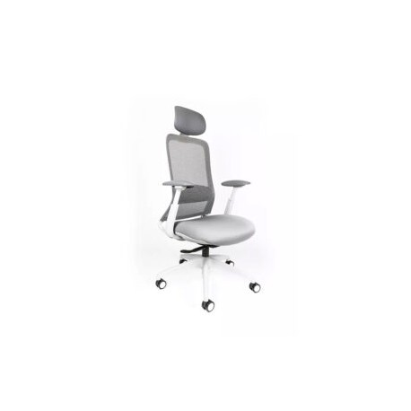 Silla Ejecutiva Curve Mesh Estructura Gris Claro