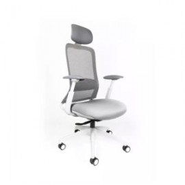 Silla Ejecutiva Curve Mesh Estructura Gris Claro