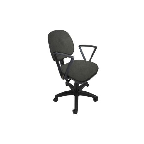 Silla Operativa con Brazos Regia 1011 Tela Mini Grafito