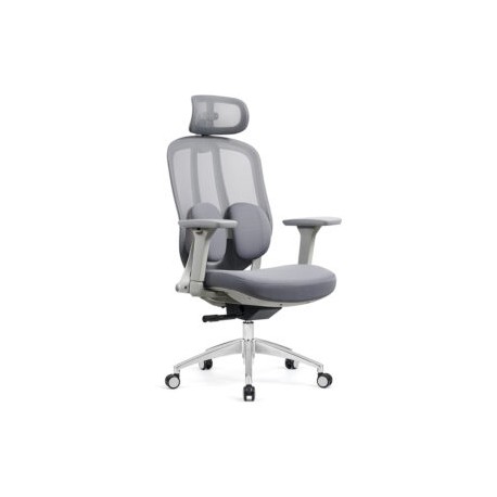 Silla Ejecutiva Organic Mesh y Tela Gris Base Cromada